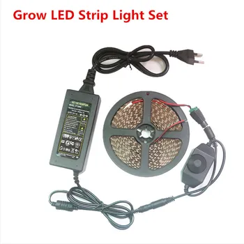 1-10m Rastlin Raste luči 5050 SMD Celoten Spekter Zatemniti LED Trak Cvet Ffs Lučka+Napajalnik Rdeča modra 3:1 4:1 5:1 Strip Niz