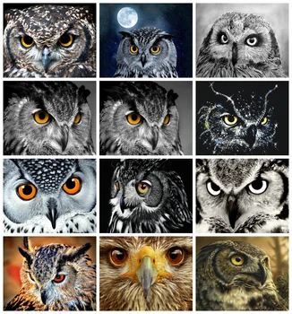 Huacan 5D DIY Diamond Slikarstvo Owl Full Kvadratnih/Krog Diamond Vezenje, Mozaik, Art Živali Domov Dekoracijo