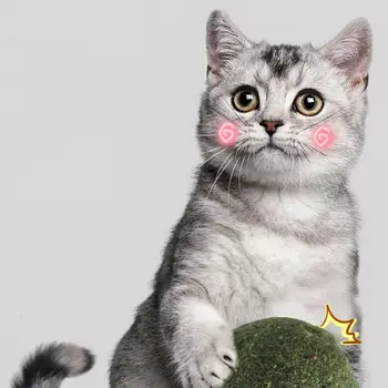 Dorakitten 1pc Mačka Catnip Žogo Ustvarjalne Zob Čiščenje Naravnih Silvervine Žogo Mačka Lizanje Žogo Hišne Potrebščine Mačka Uslug