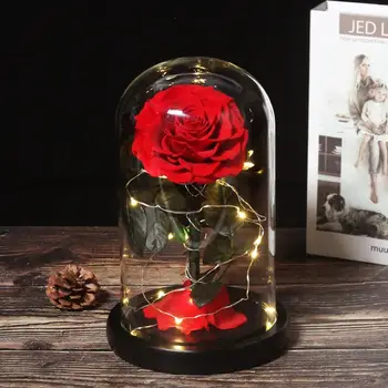 Srca v Obliki Konzervirane Rose Lepotica in Zver Večno Rose V Stekleno Kupolo Poroko Umetno Cvetje Valentines Božično Darilo
