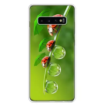 Čudovito Smaragdno Zelena bleščice Mandela Primeru Telefon za Samsung Galaxy A51 A71 A50 A70 A40 A30 A20E A10 A01 A21 A41 M30S A6 A7 A8